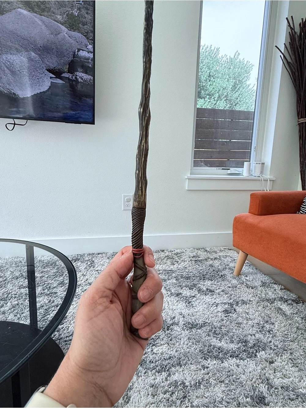 Harry Potter Ollivanders wand with case